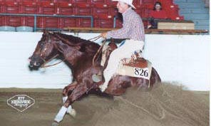 Katona reining horses Gallery pictrure