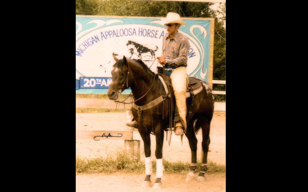 Katona reining horses Gallery pictrure