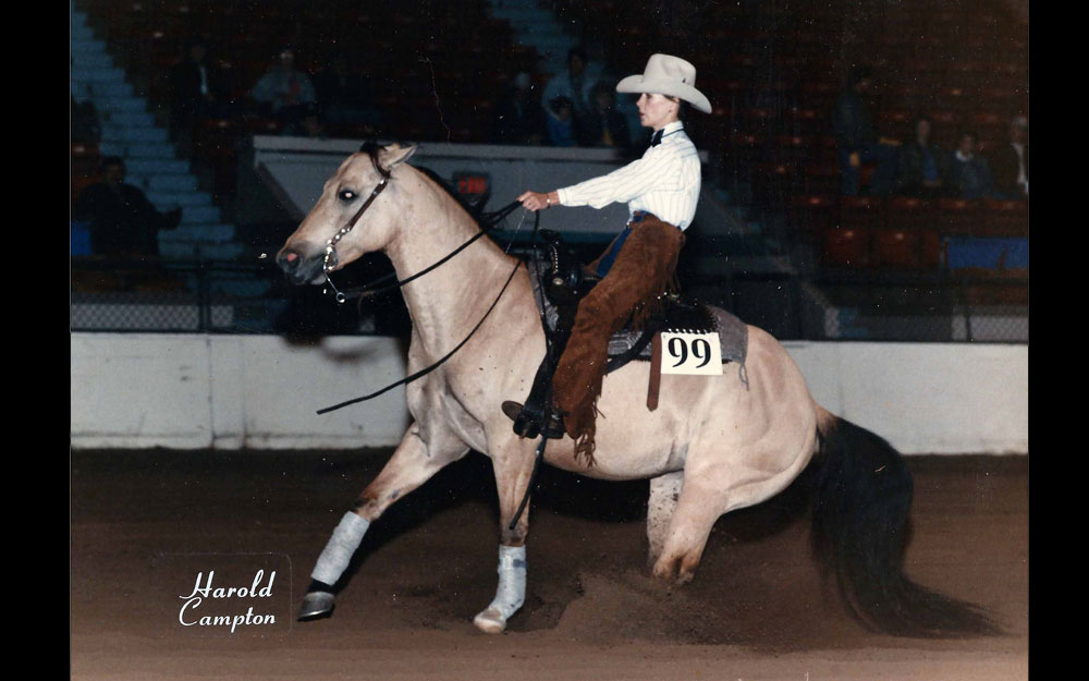 Katona reining horses Gallery pictrure