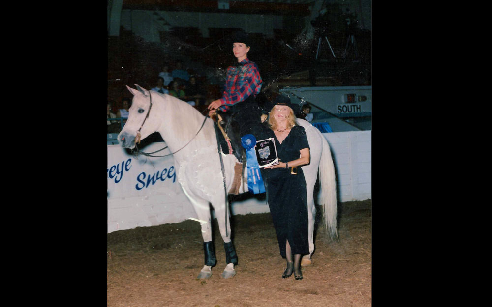 Katona reining horses Gallery pictrure