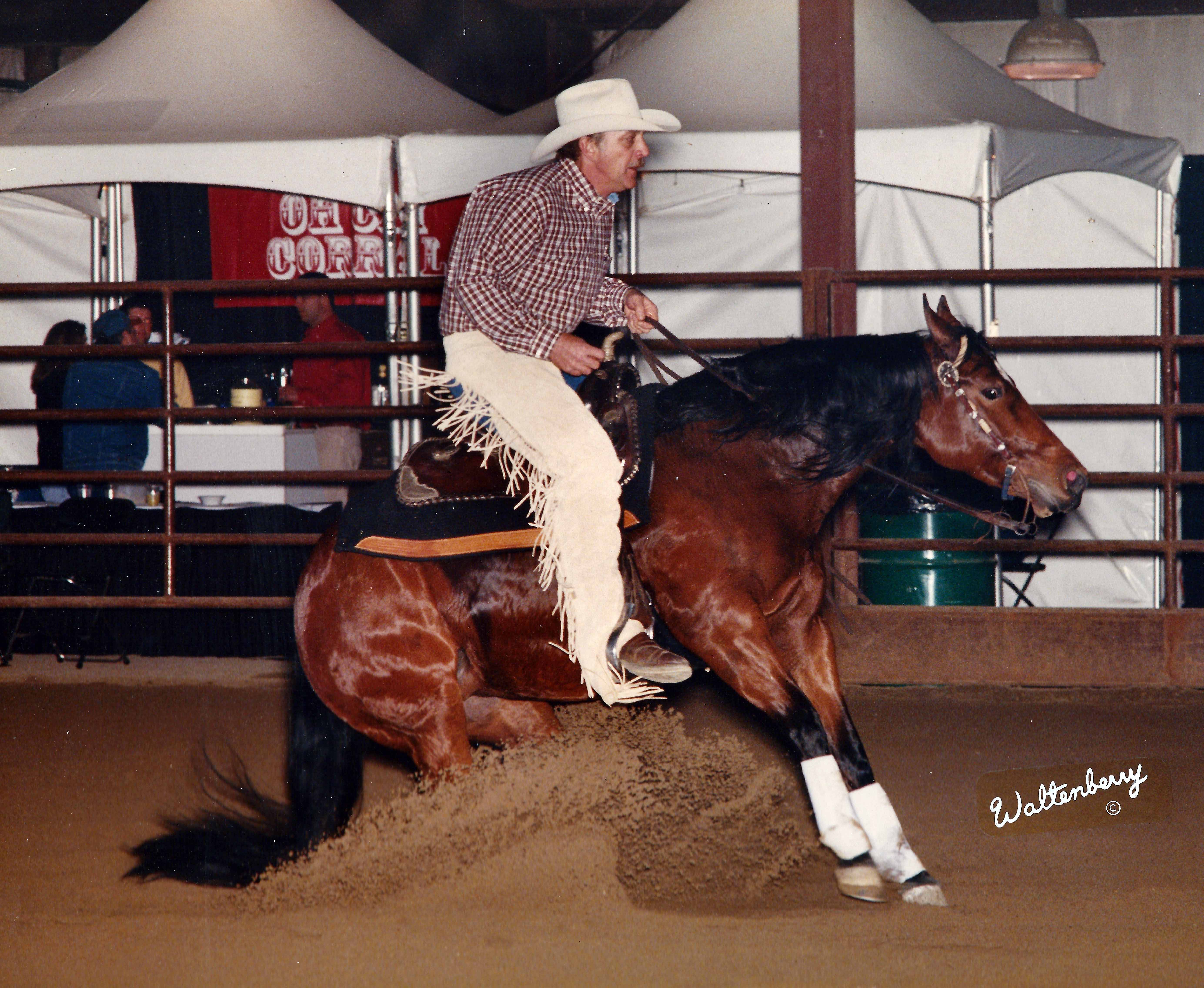 Gizit Glider - 1995 Bay Mare by Queen Savage